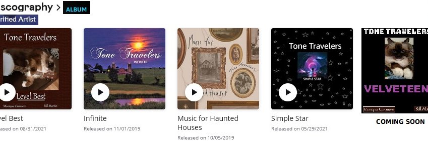 Tone Travelers Original Band banner