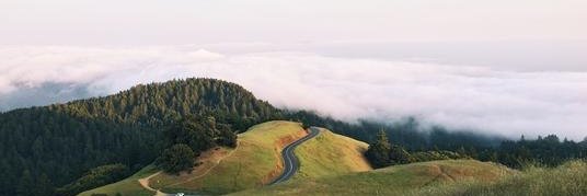 Alexis Daigle banner