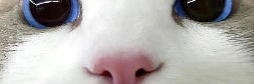 hiddennay__'s profile banner image