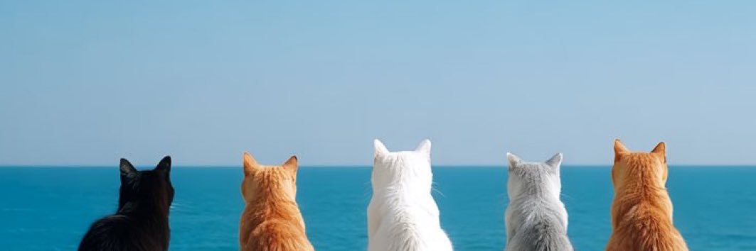 bukan stroberi 🍓 banner