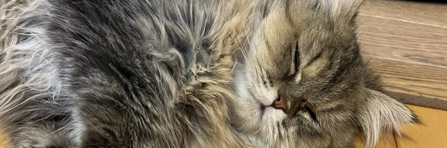 skmc_neko's profile banner image