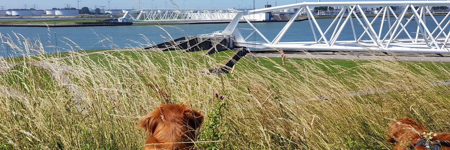 Oebbie 🇳🇱 banner