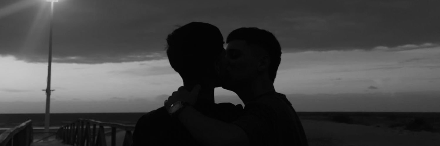 vitœr | PETAL ꕤ banner