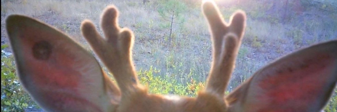 folknay's profile banner image