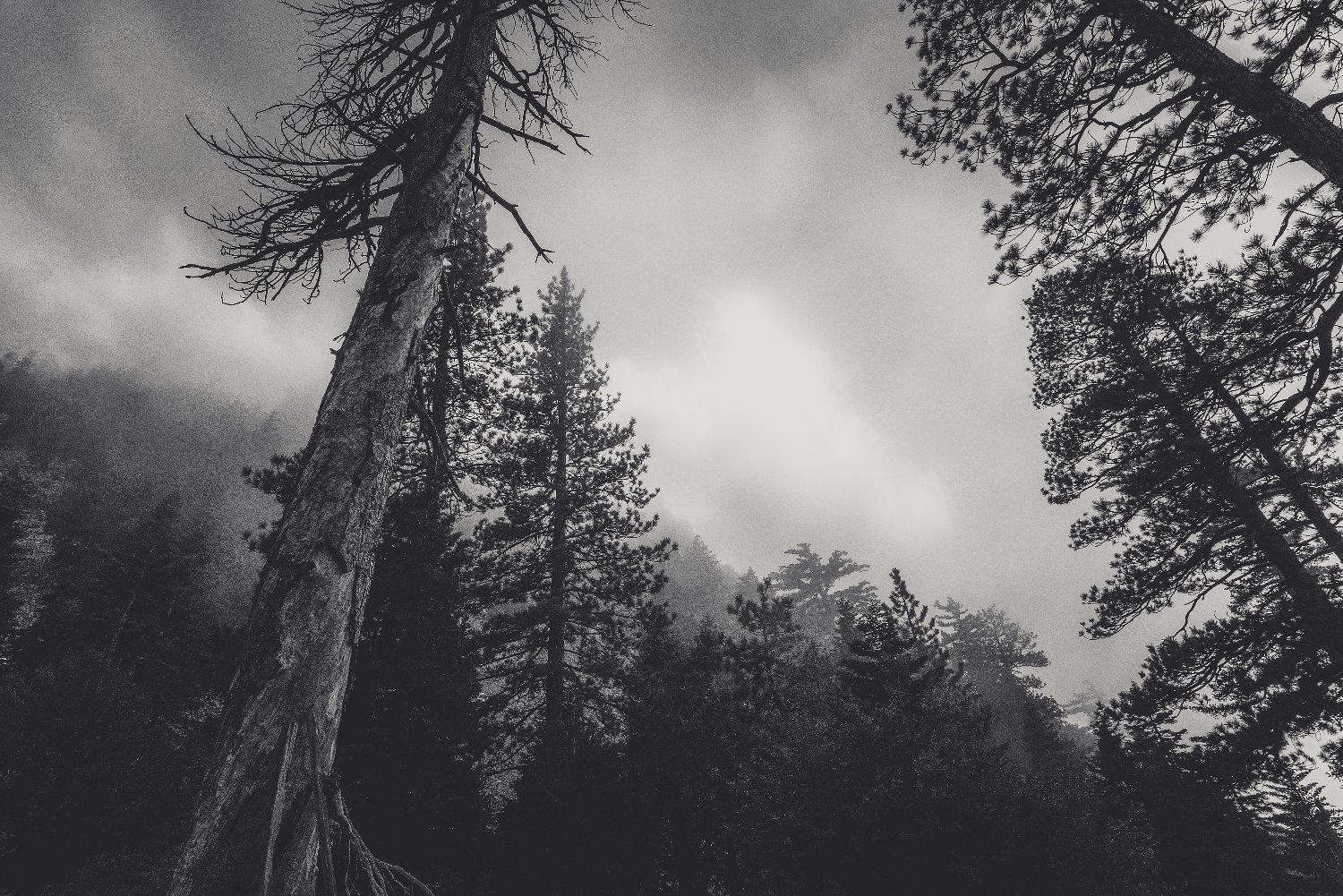 Random8003's profile banner image