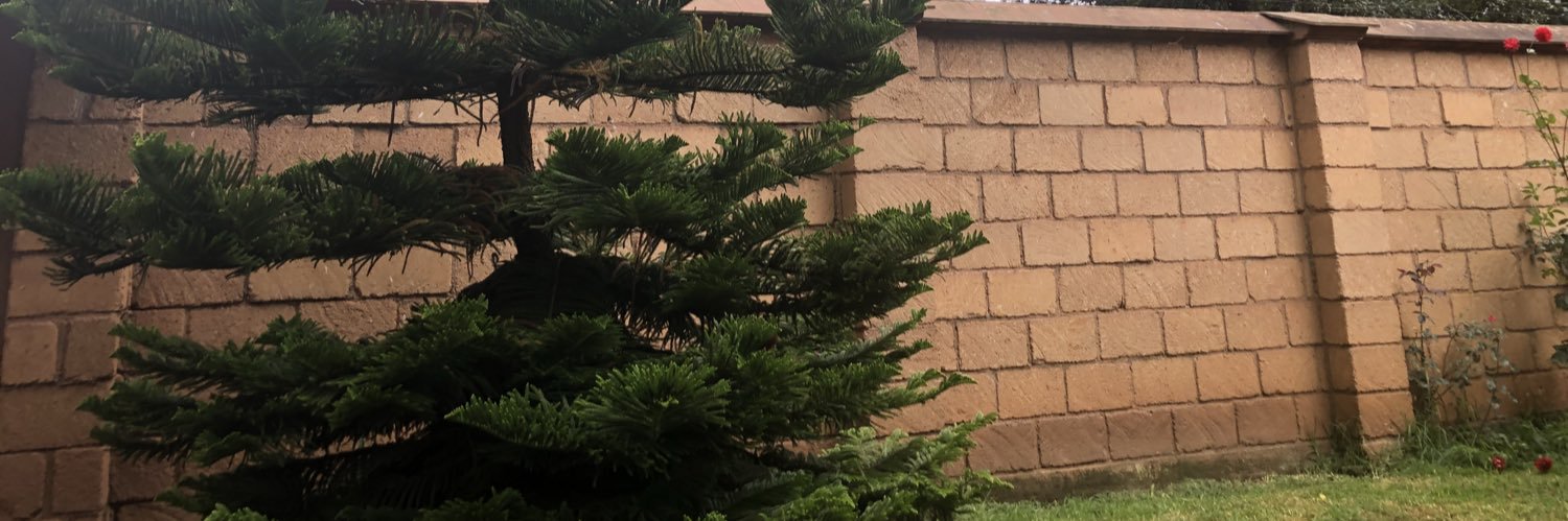 leninthebest96's profile banner image