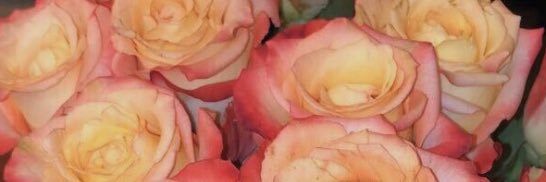Heather banner