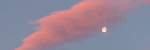 GamerMinty1023's profile banner image