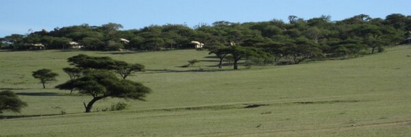 EMcD Profile Banner