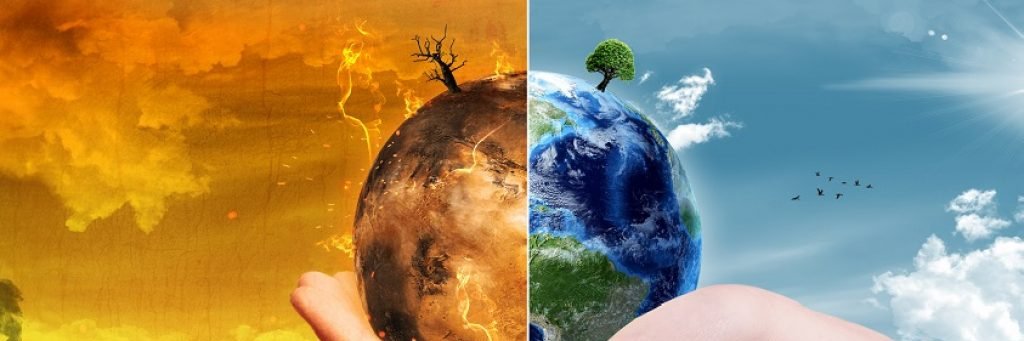 timfierant.bsky.social banner