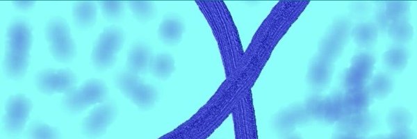 XFSaraAllen Profile Banner