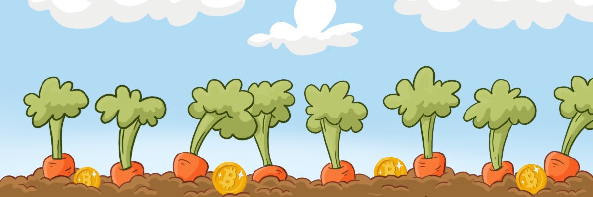 MetaBunnys banner