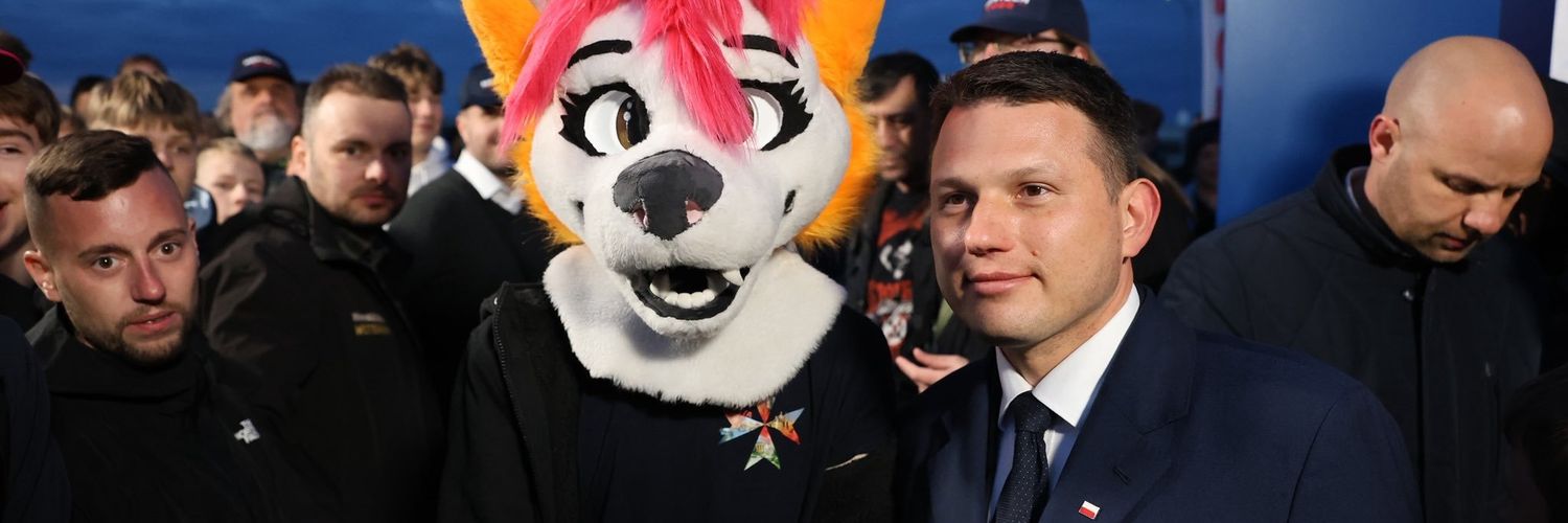 lluselle's profile banner image