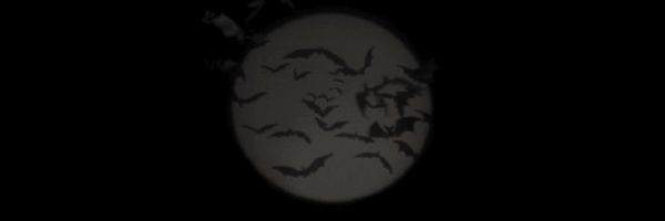 DlSSlDlA Profile Banner