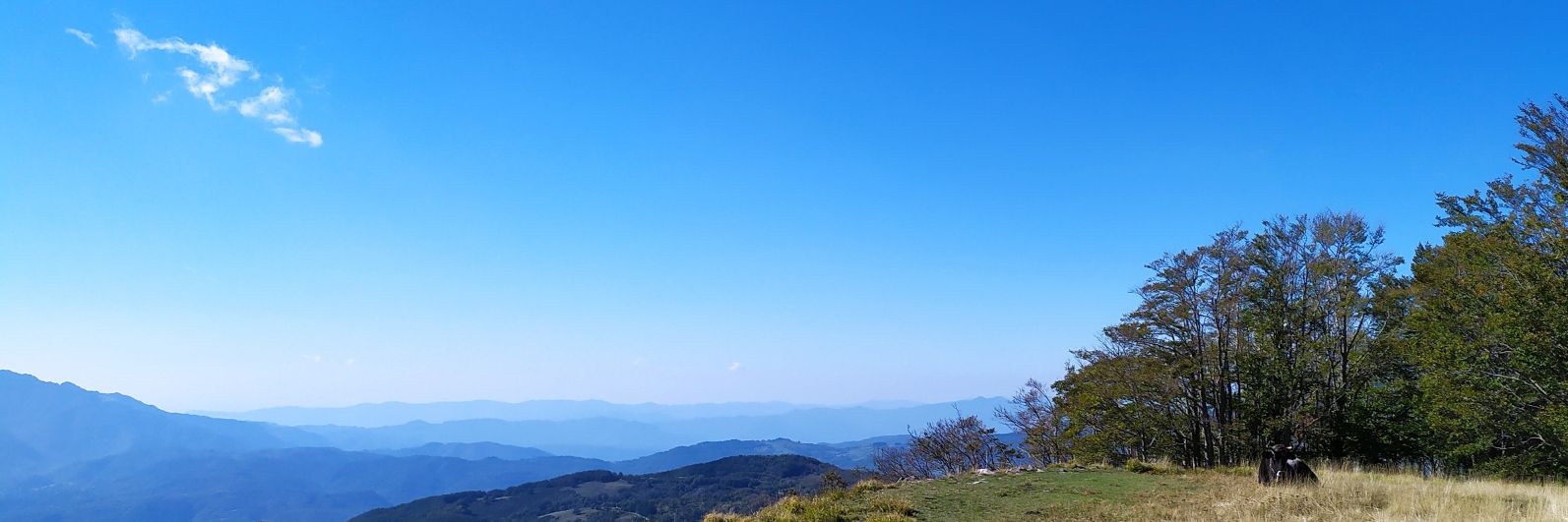 xla700's profile banner image