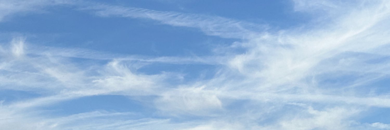 taliamchermak's profile banner image