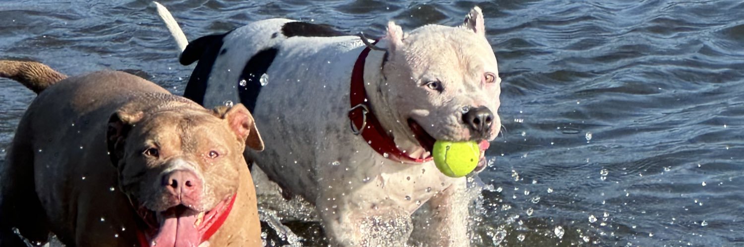 Brett Peabody banner