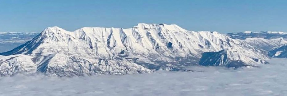 John Dayton, M.D. banner