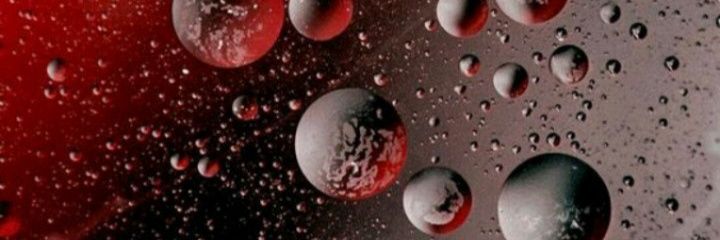 celestehf88's profile banner image