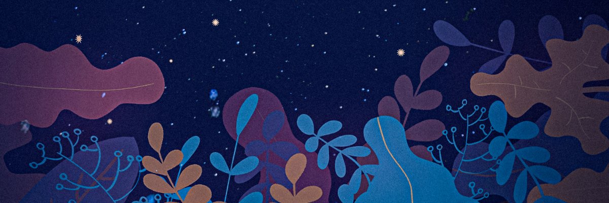 shetaraparker's profile banner image