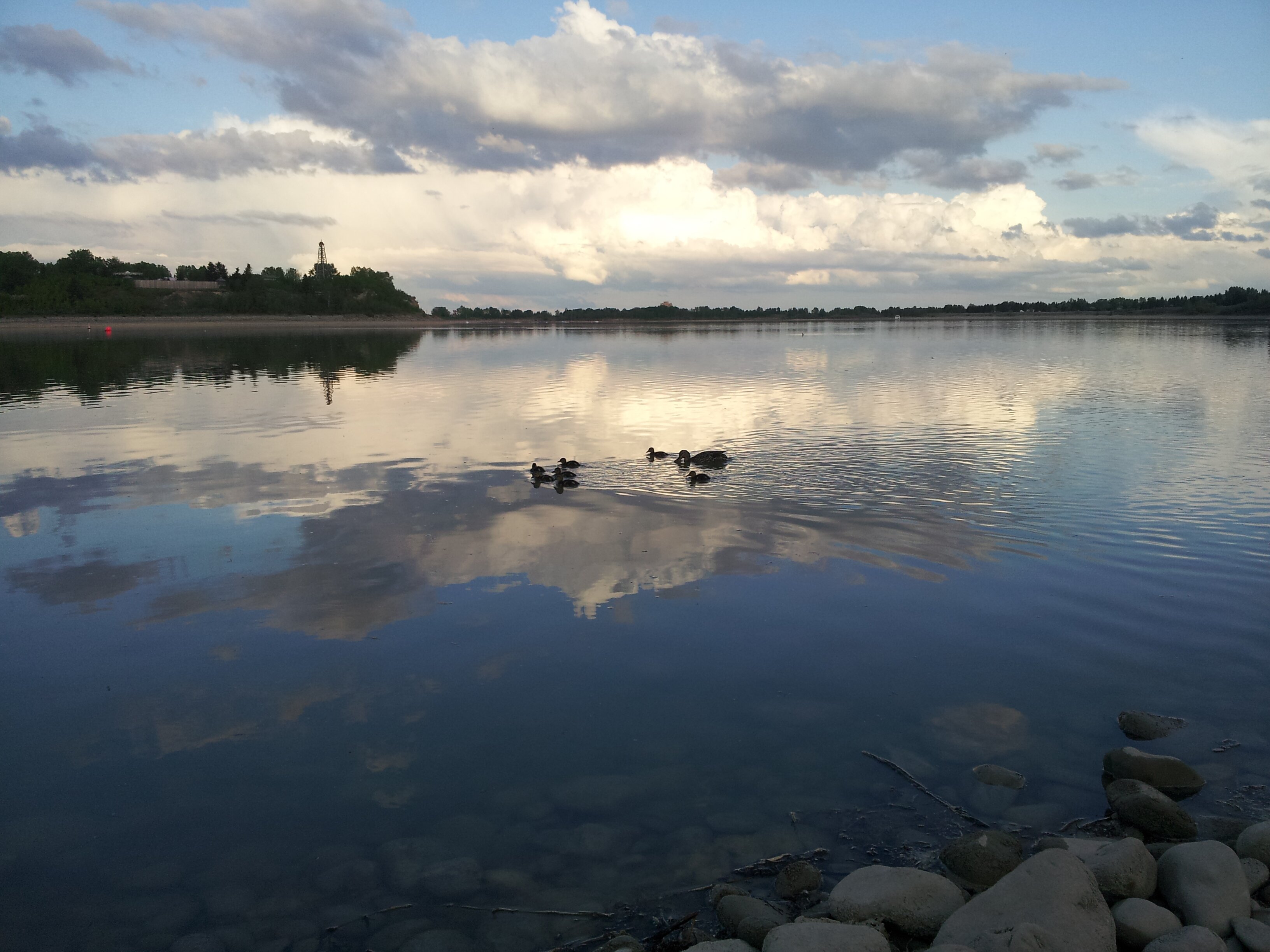 YYCFishing's profile banner image