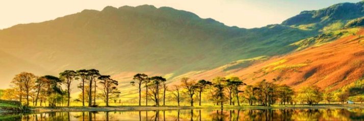 Manish Bhandari banner