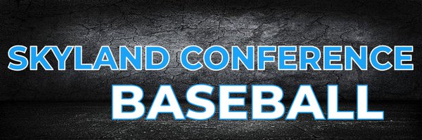 SkylandBaseball Profile Banner