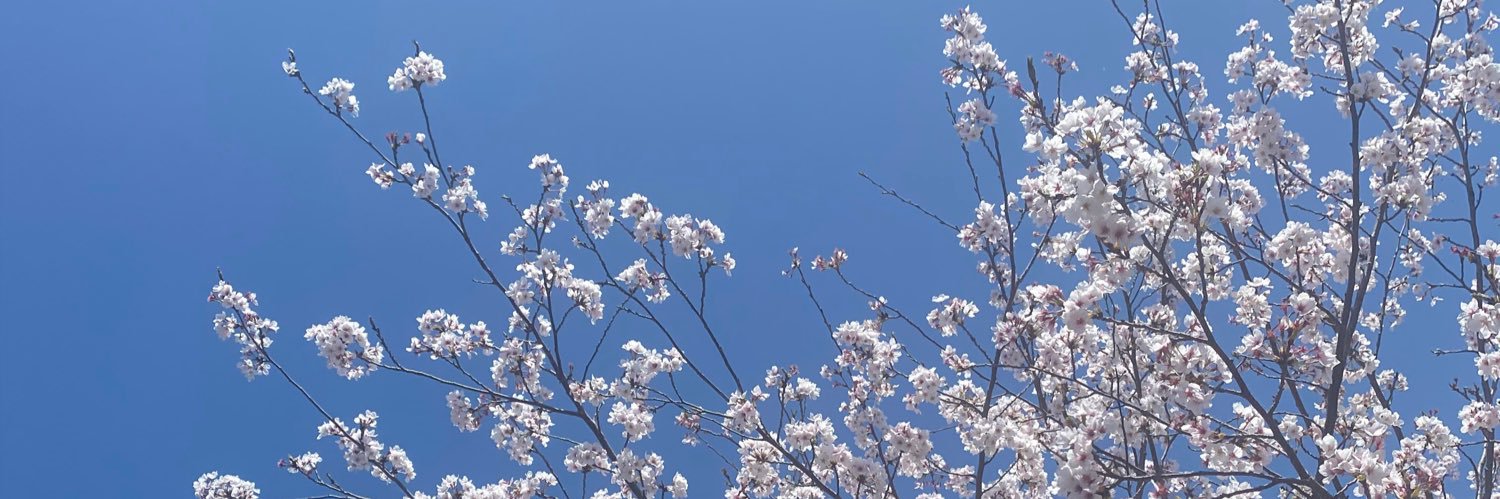 2a1_x's profile banner image