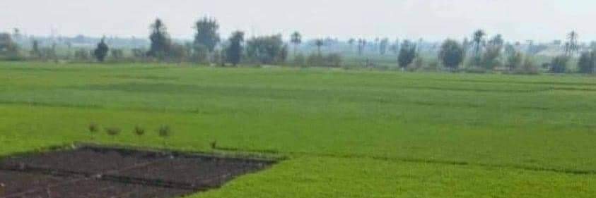 ت banner