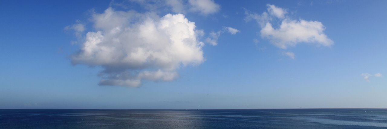美宙 獅童's banner