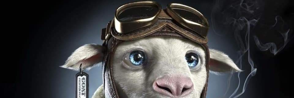 CryptoHunter | Official 🍊,💊 banner