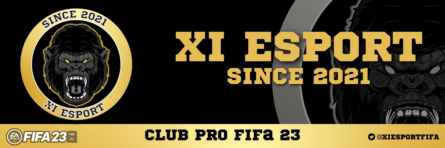 XI Esport Profile Banner