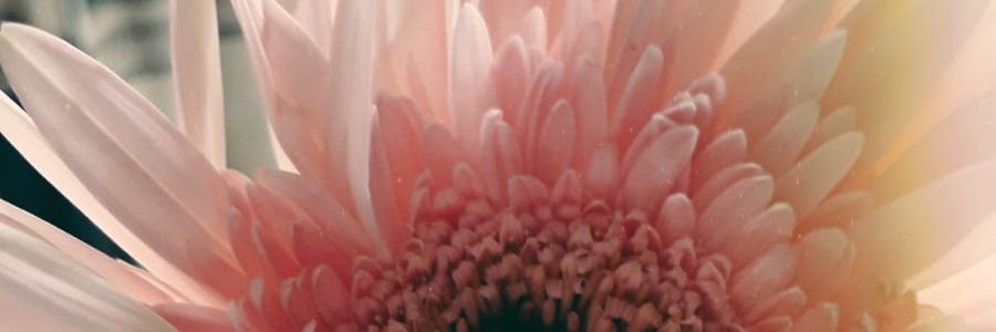 nadiafadjui's profile banner image