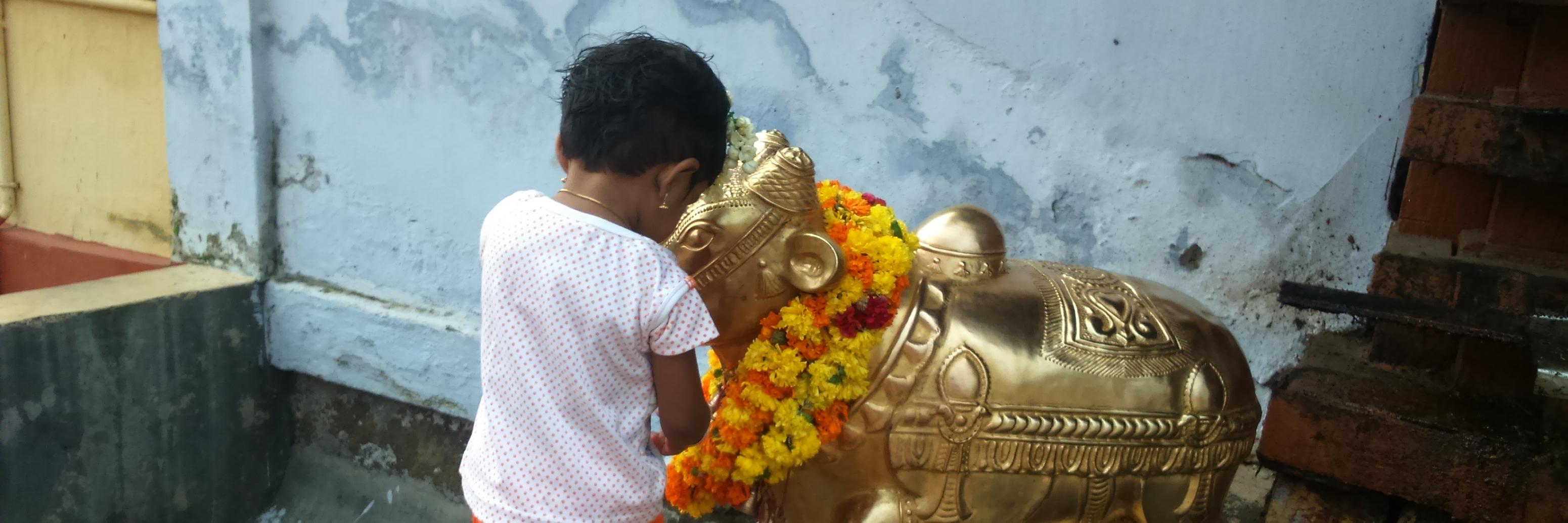 SumodSNandanam's profile banner image