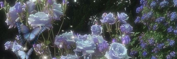 mxchii_luv's profile banner image