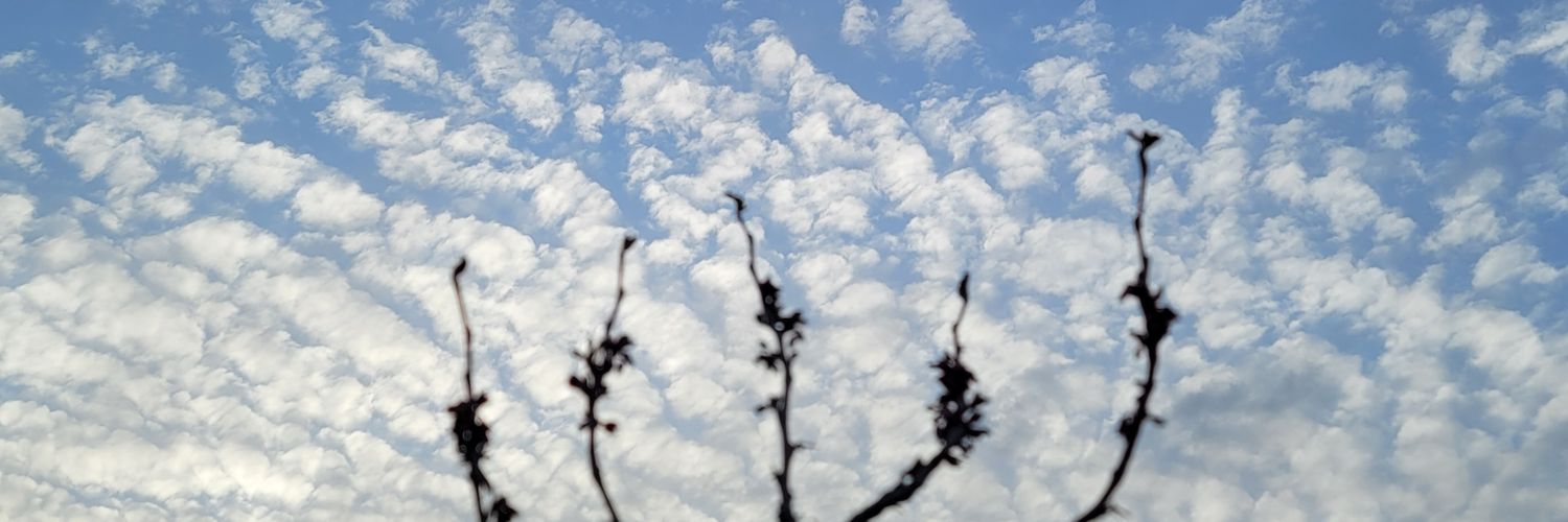 Cryptone-ite 🐍🎩 banner