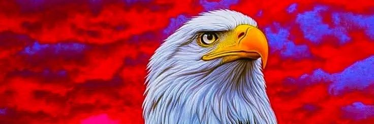 kingisback5697's profile banner image