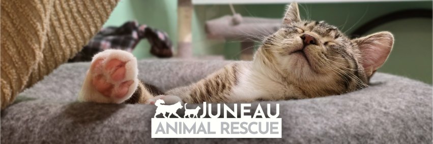 Juneau Zoo & Animal Rescue banner