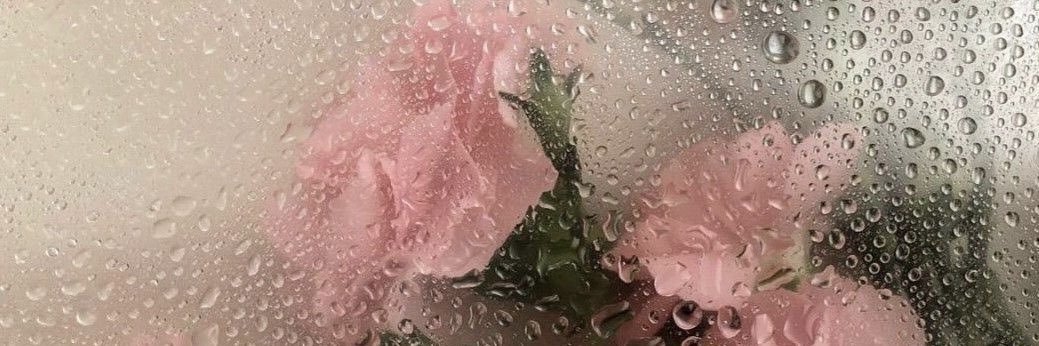 faylinnns's profile banner image