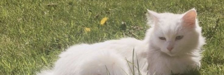 marririnnx's profile banner image