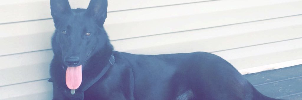 peytonb24's profile banner image