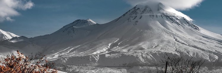 canmercan313's profile banner image