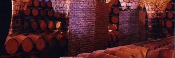 chateaumusar Profile Banner