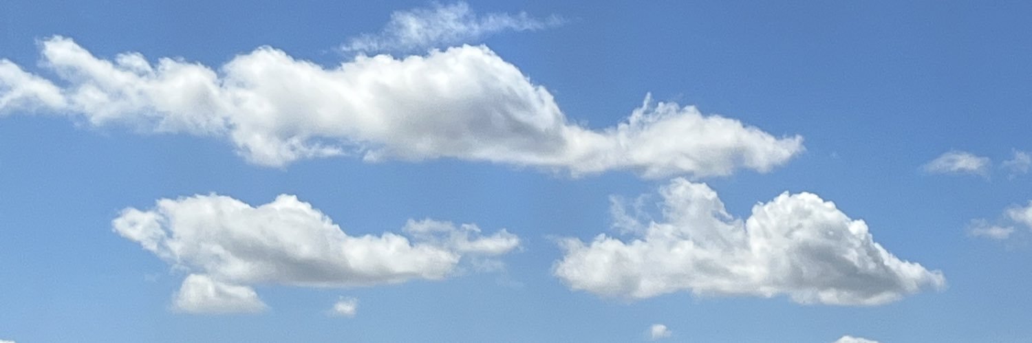 ainizzle's profile banner image