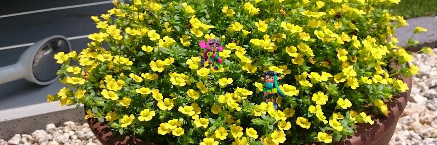 みり☕🐾 banner