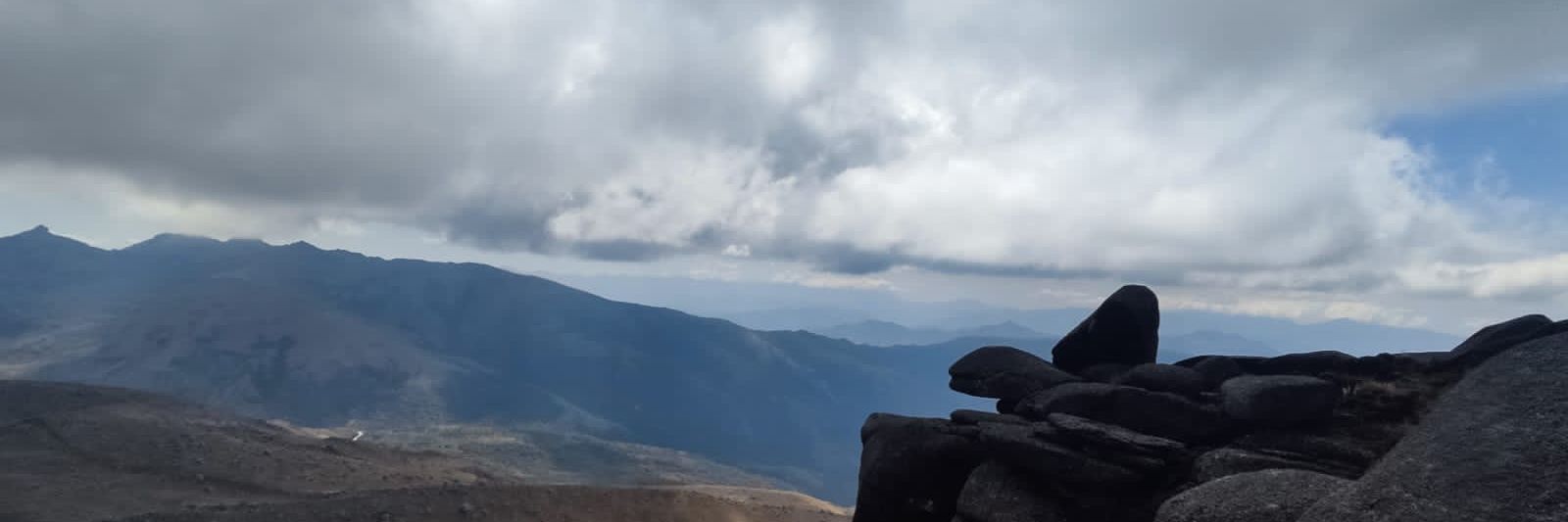 dr_delaa's profile banner image