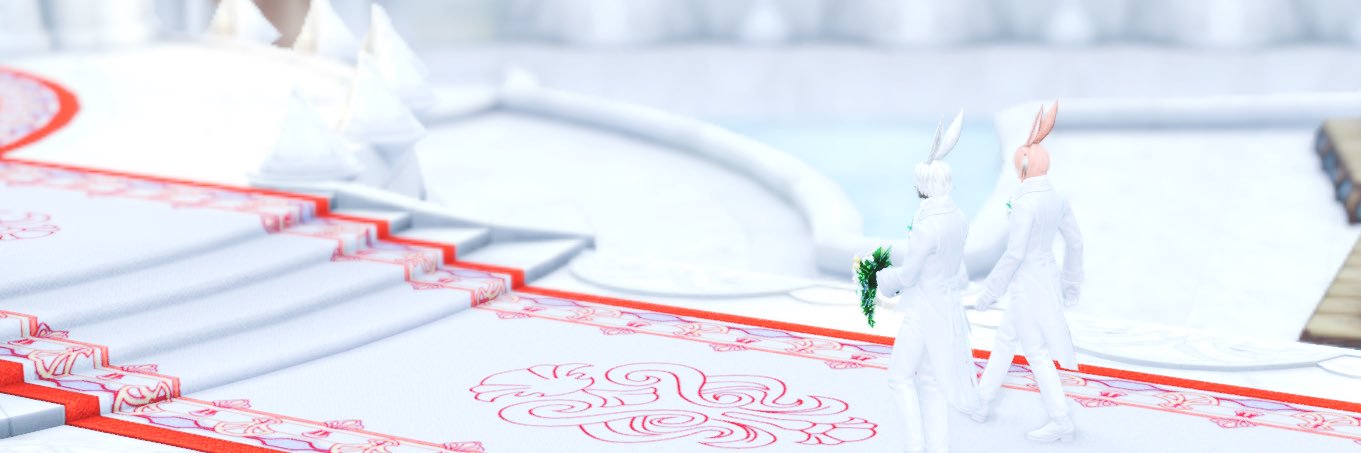 꽁 banner