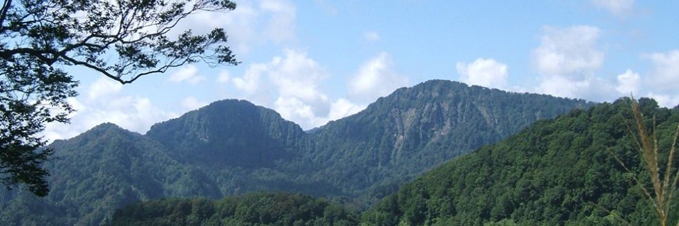 redpine44's profile banner image
