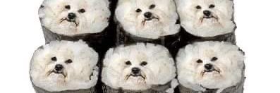 * banner