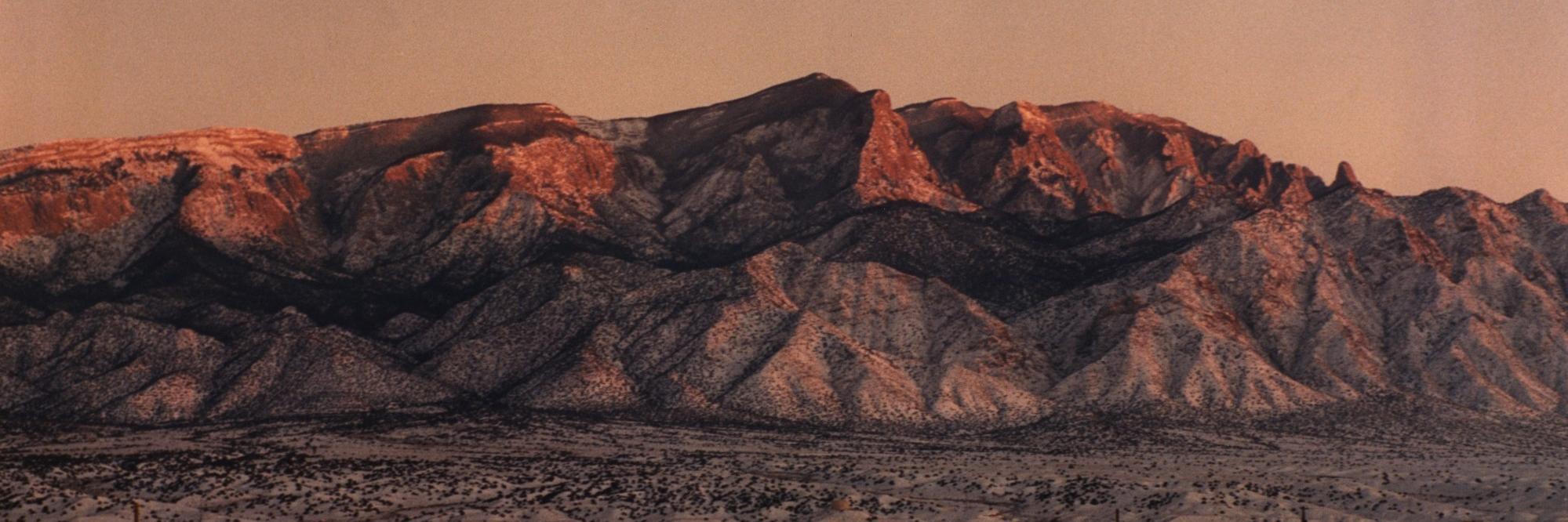 Keith M Ellis banner